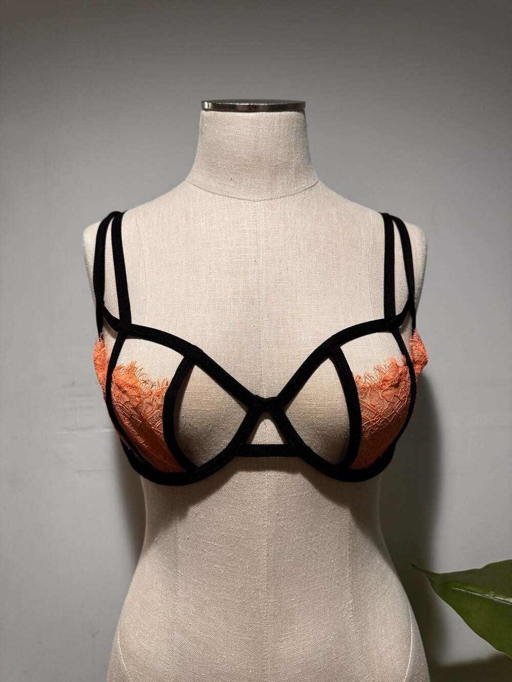 Bluebella Strappy Lace Bra Black Orange 34C
